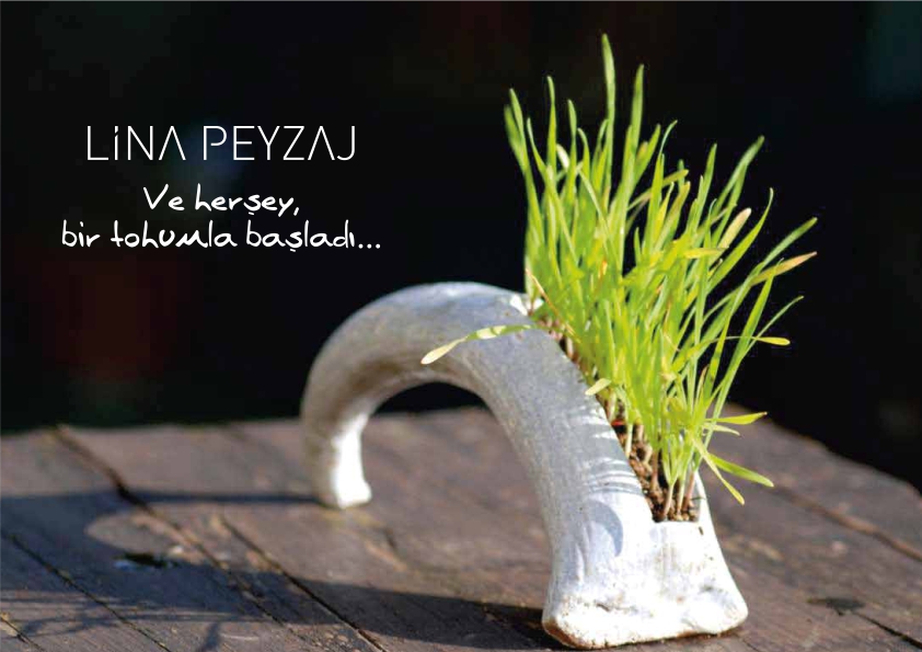 "Ve herşey, tohumla başladı;